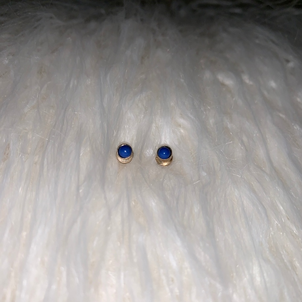 Blue Stud Earrings